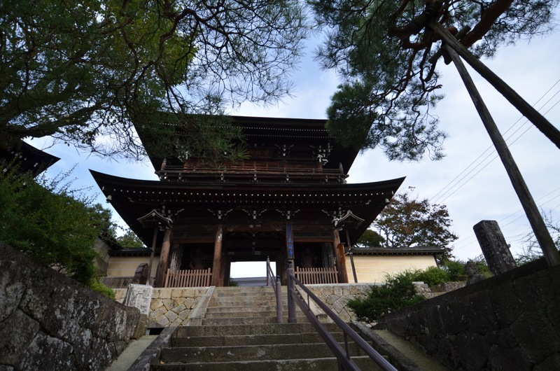 Takayama 12 ty_12