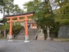 uji_19