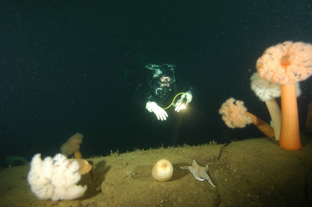 Doug at the edge
