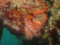 Highlight for Album: Keystone- Oct 20