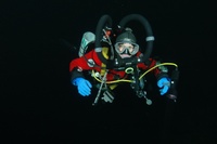 Highlight for Album: Tyler Rock