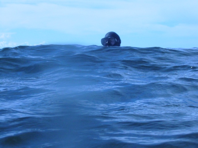 Monster from the deep
