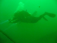 Highlight for Album: Victoria Day Weekend in Nanaimo