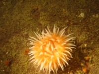 Highlight for Album: Whytecliffe Cut Aug 20